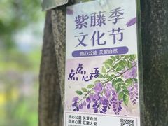 -嘉定紫藤园