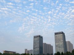 -安阳博物馆