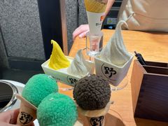 -野人先生Gelato(上海长宁龙之梦店)