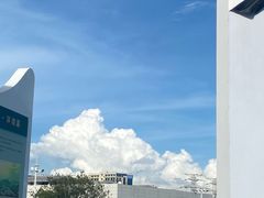 -宝安西湾红树林湿地公园