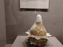 -南越王博物院(王宫展区)