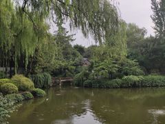 -秋霞圃