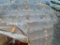 -天空花园餐吧·生日·团建(南山店)