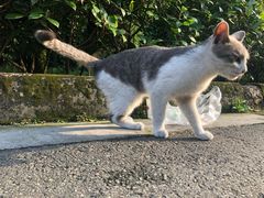 -四川大学(华西校区)