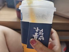 -春丽小马(济南恒隆广场店)