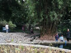 -成都市活水公园