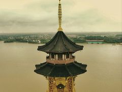 -溱湖国家湿地公园