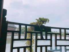 -乌镇望津里精品酒店