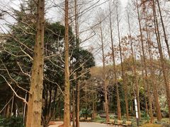 -苏州河梦清园环保主题公园