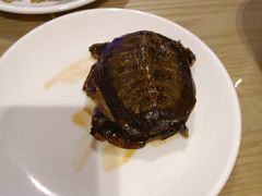 -金沙会馆