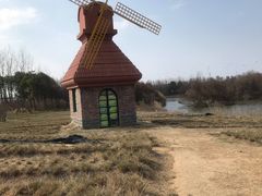 -杭州湾海上花田景区
