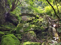 -西安祥峪森林公园