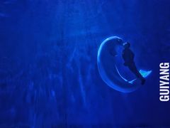 -多彩贵州城极地海洋世界