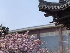 -三林塘老街