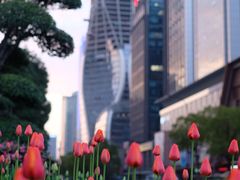 -盈丰路(地铁站)