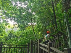 -黄埔油麻山森林公园