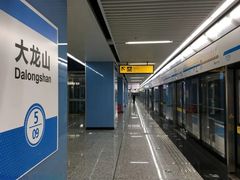-大龙山(地铁站)
