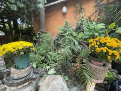 -园林美食城·本土农家菜(杨和镇店)