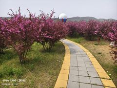 -大连铭湖国际观光牧场