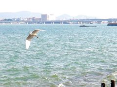 -集美学村