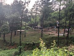 -梦幻奥陶纪景区