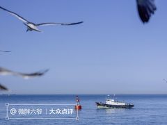 -海驴岛(荣成市)