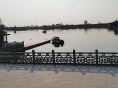 -杭州湾海上花田景区