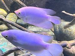 -重庆欢乐海底世界