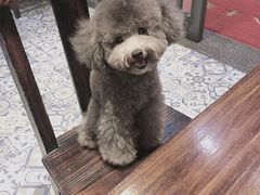 -爱诺耐芙动物医院(万博店)