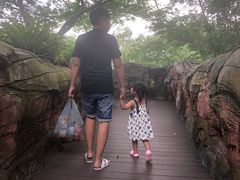 -呀诺达热带雨林