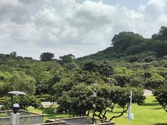 -立新湖公园