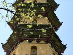 -阿育王寺