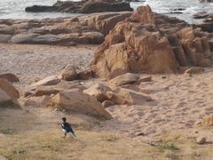 -青岛第三海水浴场