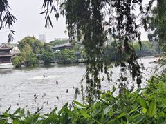 -荔湾湖公园