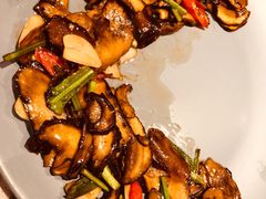 傣味野芫荽炒牛肝菌-半山腰·云南菜(侨福芳草地店)