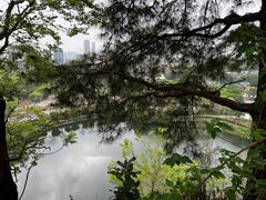 -王借岗森林公园