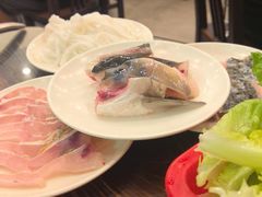 -正能量脆肉鲩火锅