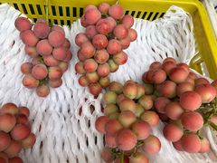 -南坛综合农贸市场