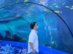 -重庆欢乐海底世界