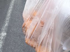-陶记正宗德州扒鸡(科巷店)