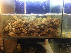 -贵木日本料理·铁板烧(新地假日广场店)