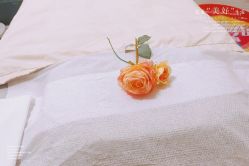 -CAMENAE嘉媚乐