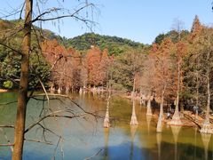 -广州市白云山风景名胜区