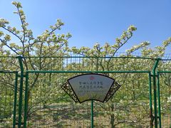 -树山生态村