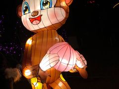 -金城公园