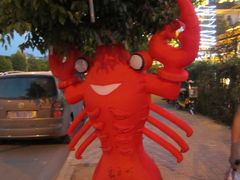 IMG_0034-霸王虾·麻辣小龙虾(清水河公园店)