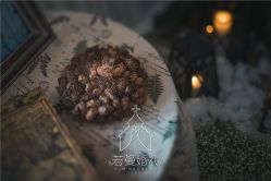 -西安威斯汀大酒店·宴会厅