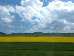 -青海茶卡盐湖文化旅游发展股份有限公司