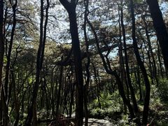 -红螺寺