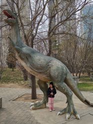 -大望京儿童游乐场